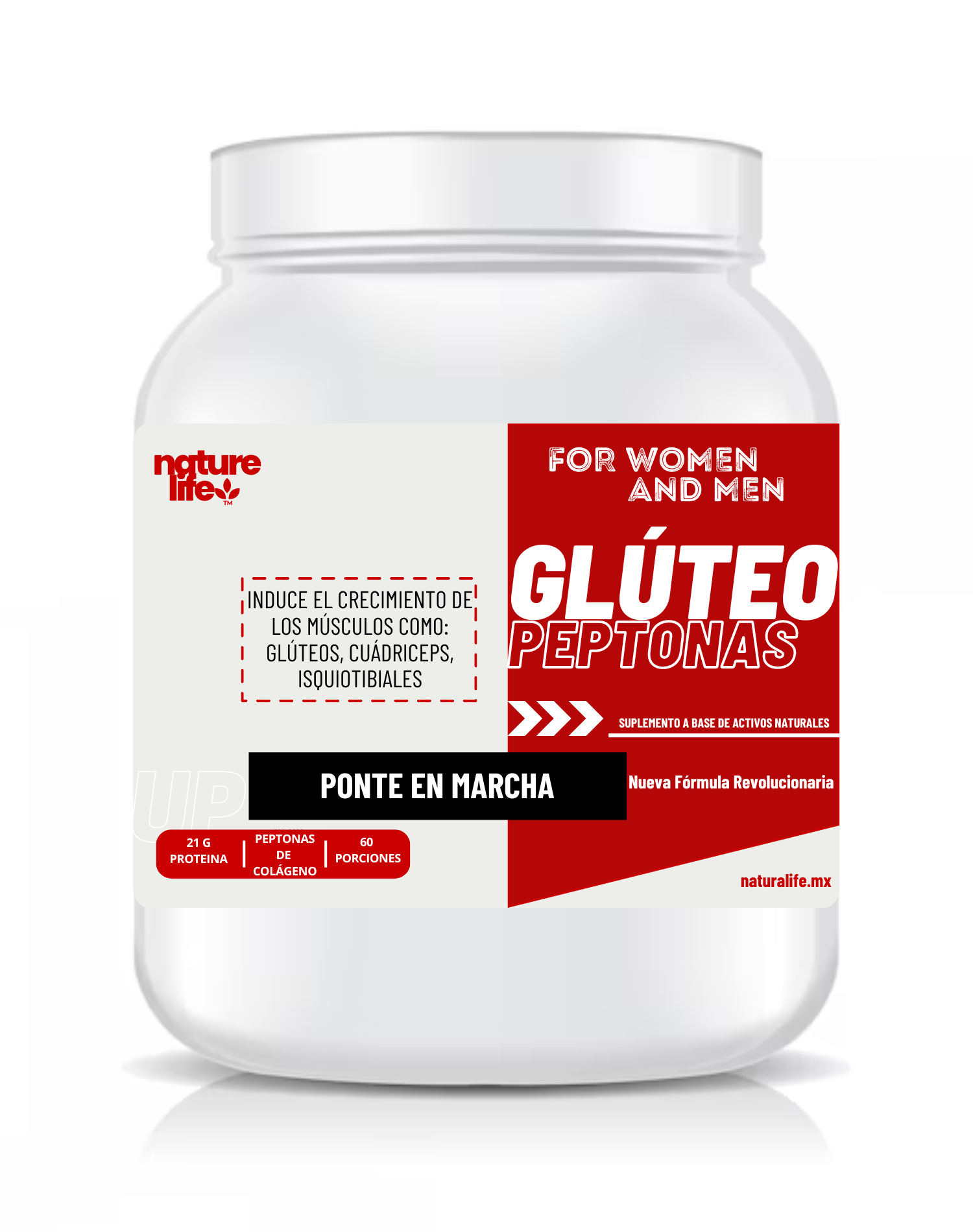 GLÚTEO PEPTONAS